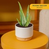image:imageCosta Farms Aloe Vera Live Indoor Plant Easy Care Home DecorAloe Vera  1012 Inches Tall  in Decorative Planter