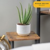 image:imageCosta Farms Aloe Vera Live Indoor Plant Easy Care Home DecorAloe Vera  1012 Inches Tall  in Grow Pot  2Pack