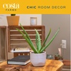 image:imageCosta Farms Aloe Vera Live Indoor Plant Easy Care Home DecorAloe Vera  1012 Inches Tall  in Growers Pot