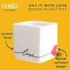 image:imageCosta Farms Aloe Vera Live Indoor Plant Easy Care Home DecorAloe Vera  Mini 45 Inches Tall  in Cute Heart Dcor Pot