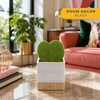 image:imageCosta Farms Aloe Vera Live Indoor Plant Easy Care Home DecorHoya Heart  Mini 45 Inches Tall  in Cute Love Dcor Pot