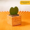 image:imageCosta Farms Aloe Vera Live Indoor Plant Easy Care Home DecorHoya Heart  Mini 45 Inches Tall  in Gift for Mom Pot