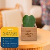 image:imageCosta Farms Aloe Vera Live Indoor Plant Easy Care Home DecorHoya Heart  Mini 45 Inches Tall  in Gift for Mom Pot