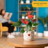 image:imageCosta Farms Anthurium Live Indoor Plant Easy Care Home DecorAnthurium  1014 Inches Tall  in Cute Dcor Flower Pot