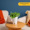 image:imageCosta Farms Begonia Live Indoor Plant Easy Care Home DecorIndoor Dcor Plant Pot