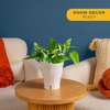 image:imageCosta Farms Begonia Live Indoor Plant Easy Care Home DecorSelfWatering Plant Pot