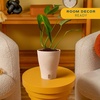 image:imageCosta Farms Begonia Live Indoor Plant Easy Care Home DecorSelfWatering Plant Pot