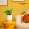 image:imageCosta Farms Boston Fern Live Indoor Plant Easy Care Home DecorBirds Nest Fern  Medium 12 Feet Tall  in Decorative Plant Pot