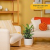 image:imageCosta Farms Calathea Live Indoor Plant Easy Care Home DecorCalathea  Growers Choice Variety  Large 23 Feet Tall  in Dcorative Pot