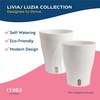 image:imageCosta Farms Champs lyses Pothos Live Indoor Plant Trailing VineSelfWatering Plant Pot