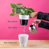 image:imageCosta Farms Champs lyses Pothos Live Indoor Plant Trailing VineSelfWatering Plant Pot