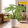 image:imageCosta Farms Champs lyses Pothos Live Indoor Plant Trailing VineWeave Dcor Planter