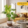 image:imageCosta Farms Champs lyses Pothos Live Indoor Plant Trailing VineWeave Dcor Planter
