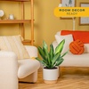 image:imageCosta Farms Dracaena Live Indoor Plant Easy Care Home DecorDracaena  Large 23 Feet Tall  in Decorative Plant Pot