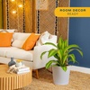image:imageCosta Farms Dracaena Live Indoor Plant Easy Care Home DecorDracaena  Large 23 Feet Tall  in Modern Plant Pot