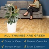 image:imageCosta Farms Fiddle Leaf Fig Live Indoor Plant Floor Plant Statement TreeBurgundy Rubber Tree  Large 23 Feet Tall  in Decorative Planter