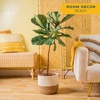 image:imageCosta Farms Fiddle Leaf Fig Live Indoor Plant Floor Plant Statement TreeDcor Planter