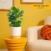 image:imageCosta Farms Fiddle Leaf Fig Live Indoor Plant Floor Plant Statement TreeFiddle Leaf Fig  Medium 12 Inches Tall  in Decorative Plant Pot