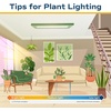 image:imageCosta Farms Fiddle Leaf Fig Live Indoor Plant Floor Plant Statement TreeFiddle Leaf Fig  Medium 12 Inches Tall  in Decorative Plant Pot
