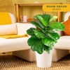 image:imageCosta Farms Fiddle Leaf Fig Live Indoor Plant Floor Plant Statement TreeFiddle Leaf Fig Large 23 Feet Tall in Indoor Garden Planter