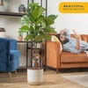image:imageCosta Farms Fiddle Leaf Fig Live Indoor Plant Floor Plant Statement TreeNursery Plant Pot