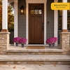 image:imageCosta Farms Garden Mums Live Outdoor Plant Fall Flowers Porch DecorPurple
