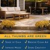 image:imageCosta Farms Garden Mums Live Outdoor Plant Fall Flowers Porch DecorYellow