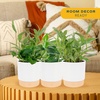 image:imageCosta Farms Golden Pothos Live Indoor Plant Trailing Vine Air PurifyingPothos Plant  Medium 1012 Inches Tall  in Decorative Plant Pot  6Pack