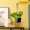 image:imageCosta Farms Golden Pothos Live Indoor Plant Trailing Vine Air PurifyingPothos Plant  Medium 1012 Inches Tall  in Hanging Basket Pot