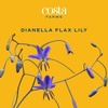 image:imageCosta Farms Ixora Live Outdoor Plant Easy Care Home DecorDianella Flax Lily  Large 23 Feet Tall  Blue Flowers
