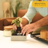 image:imageCosta Farms Live Indoor House Plants Live Indoor Plant Easy CareGrower Pot 3Pack