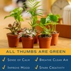 image:imageCosta Farms Live Indoor House Plants Live Indoor Plant Easy CareGrower Pot 6Pack