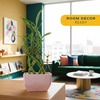 image:imageCosta Farms Lucky Bamboo Plant Easy to Grow Live Houseplant in Indoor Bamboo Pot Potting Mix Growers Choice Birthday Gift Home Office Plant Shelf Zen Room Decor 12Inches TallIndoor Bamboo Plant Pot
