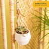 image:imageCosta Farms Mini Succulents Live Indoor Plant Easy Care Home DecorHanging Basket Succulent Plant Pot