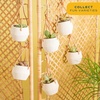 image:imageCosta Farms Mini Succulents Live Indoor Plant Easy Care Home DecorHanging Basket Succulent Plant Pot