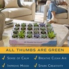image:imageCosta Farms Mini Succulents Live Indoor Plant Easy Care Home DecorModern Dcor Plant Pot