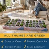 image:imageCosta Farms Mini Succulents Live Indoor Plant Easy Care Home DecorModern Dcor Plant Pot