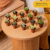 image:imageCosta Farms Mini Succulents Live Indoor Plant Easy Care Home DecorNursery Plant Pot