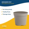 image:imageCosta Farms Mini Succulents Live Indoor Plant Easy Care Home DecorSucculent Plant Pots