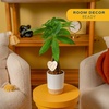 image:imageCosta Farms Money Tree Live Indoor Plant Braided Trunk Easy CareMoney Tree  Medium 16 Inches Tall in Decorative Planter