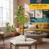 image:imageCosta Farms Money Tree Live Indoor Plant Braided Trunk Easy CareMoney Tree  Mini 810 Inches Tall in Cute Dcor Plant Pot