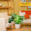 image:imageCosta Farms Monstera Live Indoor Plant Tropical Plant Home DecorMonstera Deliciosa  Large 23 Feet Tall  in Decorative Plant Pot