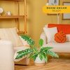 image:imageCosta Farms Monstera Live Indoor Plant Tropical Plant Home DecorPhilodendron  HandSelected Variety  Large 23 Feet Tall  in Decorative Plant Pot