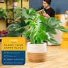 image:imageCosta Farms Monstera Live Indoor Plant Tropical Plant Home DecorPhilodendron  Large 23 Feet Tall  in Decorative Plant Pot