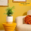 image:imageCosta Farms Ponytail Palm Live Indoor Plant Tropical Decor Air PurifyingPalm  Medium 1416 Inches Tall  in Decorative Planter