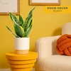 image:imageCosta Farms Snake Plant Live Indoor Plant Air Purifying Low Light EasySnake Plant  Medium 1220 Inches Tall  in Decorative Planter Pot
