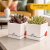 image:imageCosta Farms Succulents Live Indoor Plant Easy Care Home DecorEcheveria  Mini 35 Inches Tall  in Cute Dcor Love Plant Pot 2Pack