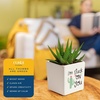 image:imageCosta Farms Succulents Live Indoor Plant Easy Care Home DecorHaworthia  Mini 4 Inches Tall  in Cute Cactus Dcor Pot
