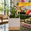image:imageCosta Farms Succulents Live Indoor Plant Easy Care Home DecorHaworthia  Small 4 Inches Tall  in Cute Dcor Succulent Pot