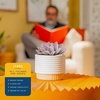 image:imageCosta Farms Succulents Live Indoor Plant Easy Care Home DecorSucculent  Growers Choice